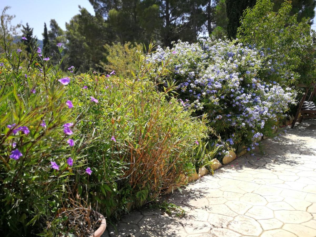 Villa Murgia Solanas  Exteriér fotografie