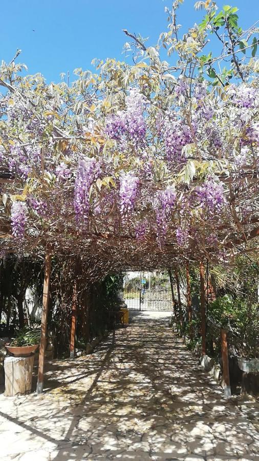 Villa Murgia Solanas  Exteriér fotografie